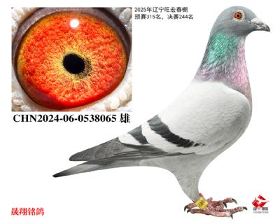 ���괺��.����244��