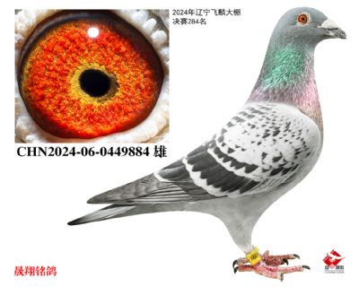 ���빫�����264��