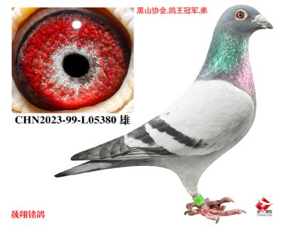 ����57��.ֱ��