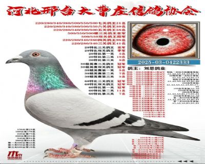 ������܊