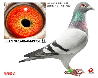 ����ʱ�������98��