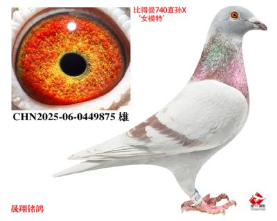 ��Ůģ�ء�ֱ��