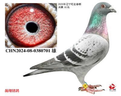 ���괺��.����82��