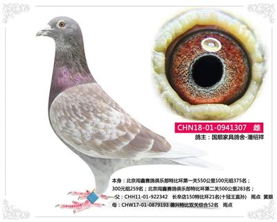 ���������ִ� 307