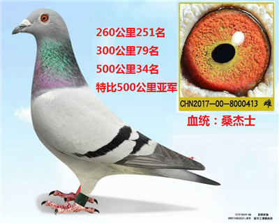 �رȻ��Ǿ�  ɣ��ʿ�ִ�