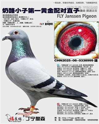 ����С�� ��һ�ƽ����ֱ��