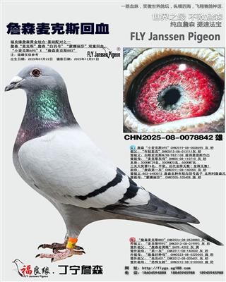 ղɭ����˹��Ѫ