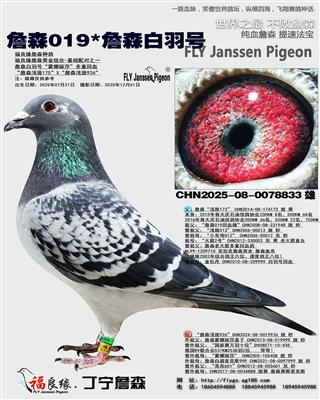 ղɭ019*ղɭ�����