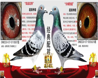 �����ڰ߹��� X ����54����