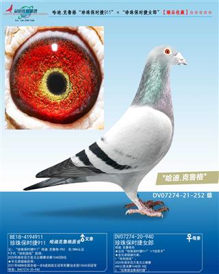 ����.��³�����鱣ʱ��911����������