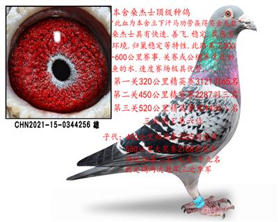 ɣ��ʿ�߱�����