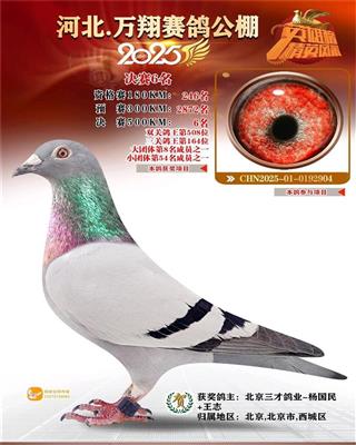 ���蹫�����6��