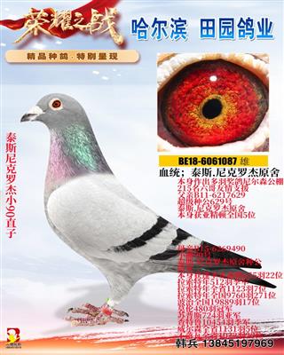 ̩˹����޽�С90ֱ��