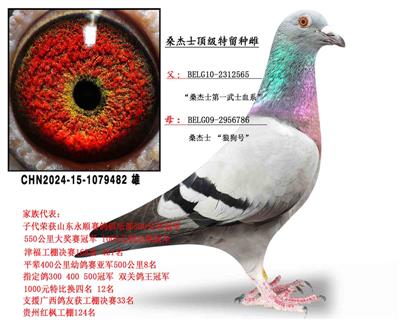 ɣ��ʿ��ʯ����