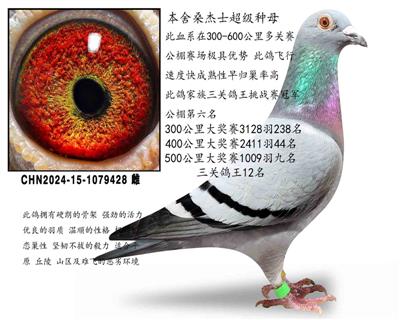 ɣ��ʿ������ĸ