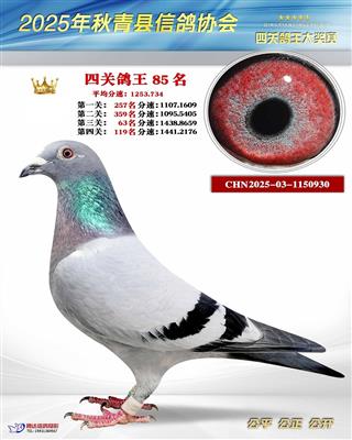 ��ɫ����