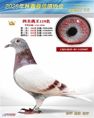 4�ظ���119��