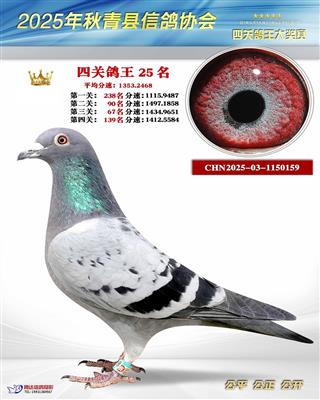 4�ظ���25��