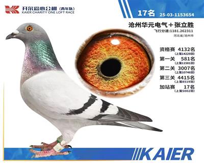 ���������ǿ��17��