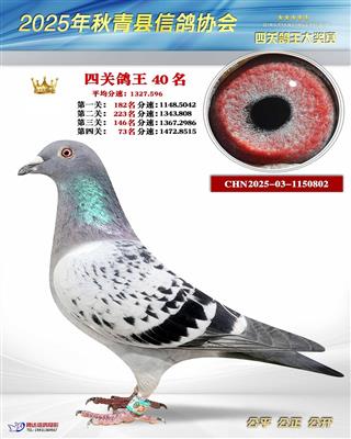 ����������������.ָ�����96��