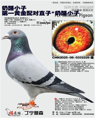 ����С�Ӷ��ػ�Ѫ