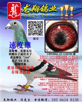 ���H����С���۳���