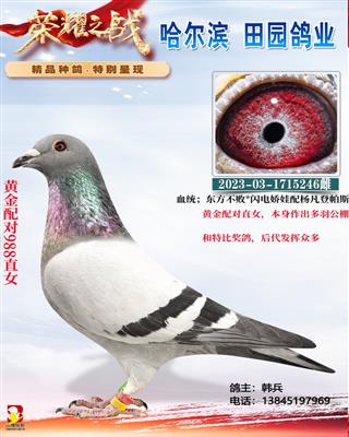 �ƽ����988ֱŮ