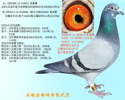 ������.��Ĭ��0520141