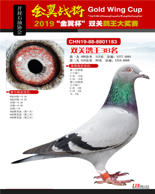 2019�������ʤ���������38λ