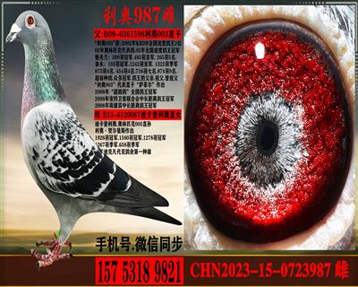 ����ƥ��003ֱ����Ͽ������ֱŮ