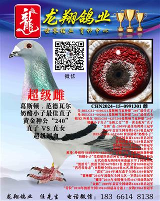 ���H����С�ӴƳ���