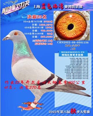 �½�ķ�����á�ֱ�