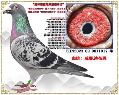 ��Ḃ����...