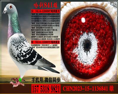 ��.����˹��������.����ֱ�������ֱŮ