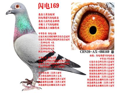 ɣ��ʿ ����169