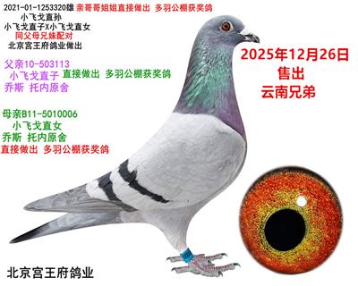 С�ɸ����ֱ��