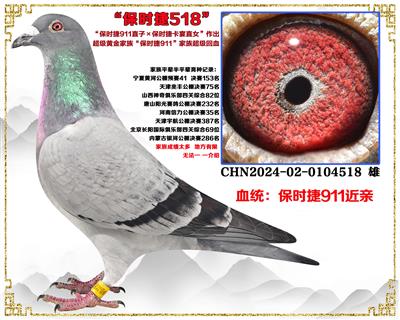 ���ڻ���������.....