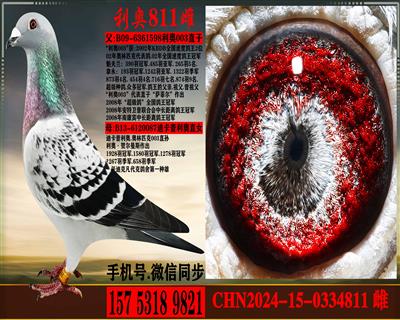 ����ƥ��003ֱ����Ͽ������ֱŮ