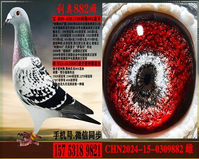 ����ƥ��003ֱ����Ͽ������ֱŮ