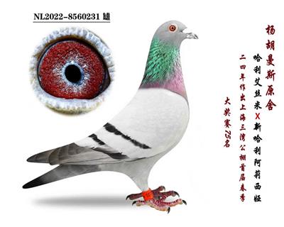 ԭ�ᡰ�¹���������