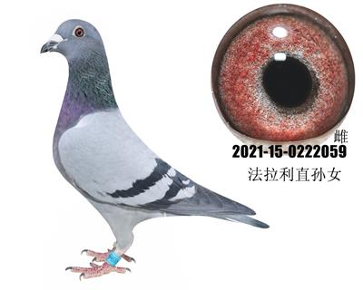 �ֲ���������ֱ��Ů59�����ٷ�����ֱŮ��