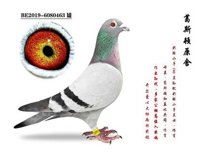 ԭ�ᡤ���ҡ�240������