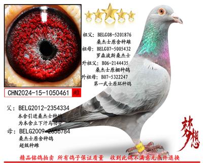 ɣ��ʿ��������