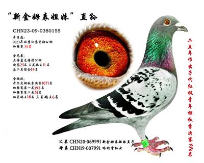 �½�ķ�����á�ֱ�������