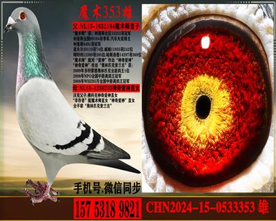 ������.ħ��ʦֱ�����ƿ�.���氮��ֱŮ