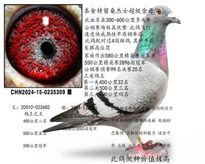 ɣ��ʿ��ʯ��ĸ