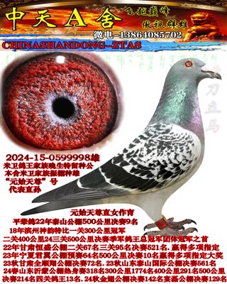 ����9��ƽ��