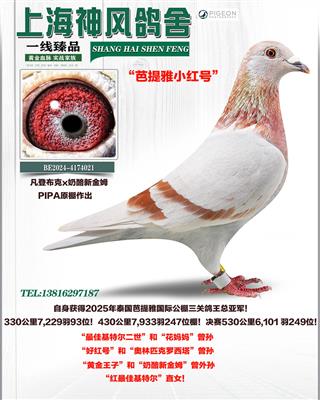 ̩�����������P(gu��n)������܊