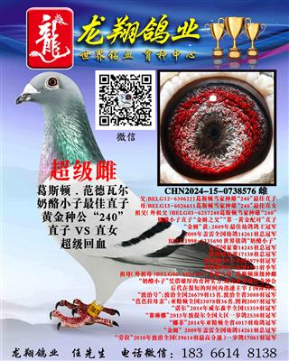 ���H����С�ӴƳ���