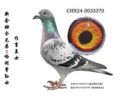 ���½�ķȫ�ֵܡ�ֱŮ